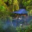 Coming to you soon: Capella Ubud Bali opens June 29