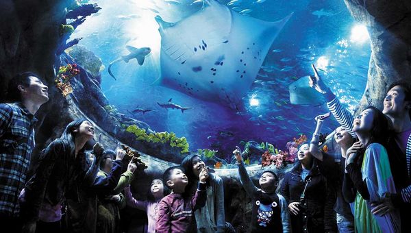 Only in Hong Kong: Dive into a world of unparalleled rewards