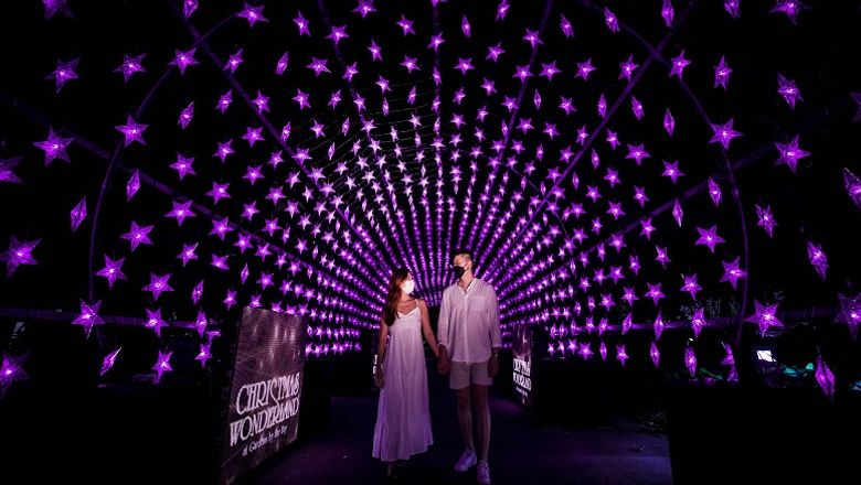 This year’s Christmas Wonderland at Gardens by the Bay will feature a 44m-long Walk of Stars light tunnel; a 20.5m-tall Spalliera; and a 30m-long Enchanted Bridge.