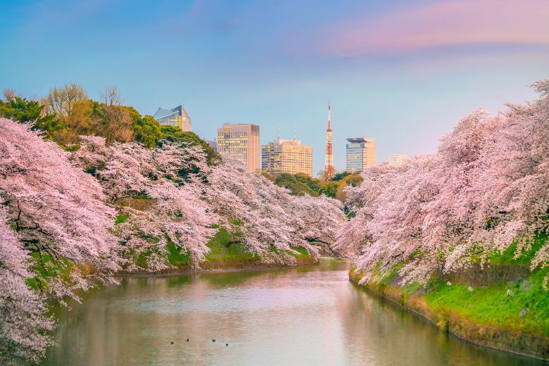 Chidorigafuchi park during the spring season in Tokyo. Japan was to have hosted the 2020 Summer Olympics in Tokyo and saw the event as an opportunity to showcase attractions outside the city.