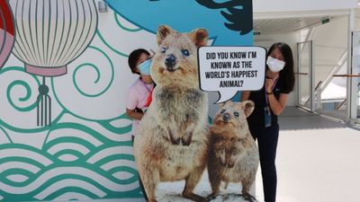 Making an appearance onboard the Singapore-docked World Dream, is Quinton the Quokka from the world’s cutest marsupial family, found only in Western Australia.