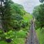 Toot, toot! The Penang to Bangkok train is back on track