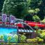 The Alishan express is chugging along again in Taiwan
