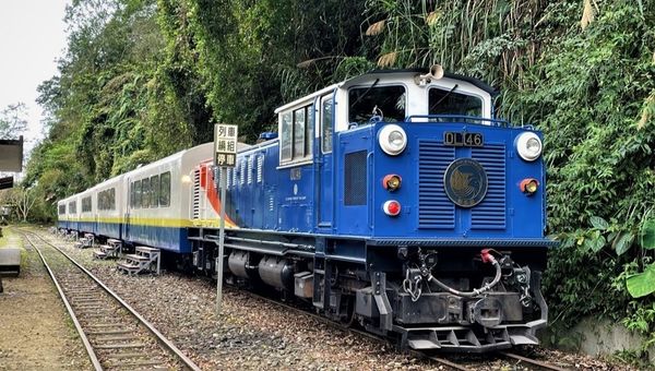 Launched in May 2024, the Vivid Express on the Alishan Forest Railway offers a two-day journey through Alishan National Scenic Area, featuring five unique cars, including private booths and swivel-seating options.