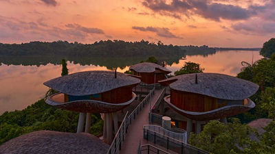 Mandai Rainforest Resort, by Banyan Tree, offers a nature-inspired stay in Singapore's Mandai Wildlife Reserve.