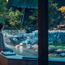Gifu yourself a winter treat with a hot spring retreat