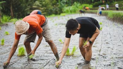 Kaura Bali allows travellers to both give back to the local community and immerse in their way of life.