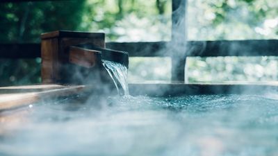 Japanese hotel group Hoshino Resorts plans first US hot spring resort in historic Sharon Springs, New York, opening 2028.