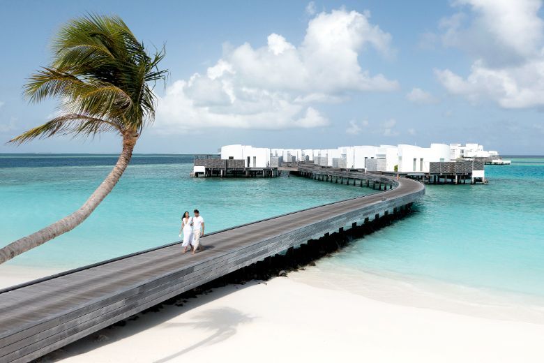 Interesting experiences at the Jumeirah Maldives include underwater photography, planting coconut trees, and even a submarine tour exploring the vibrant marine habitat.