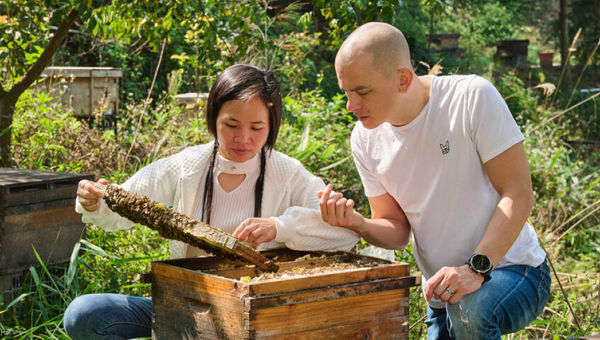 Mandarin Oriental, Guangzhou partners with local bee farms to supply natural honey to its restaurants