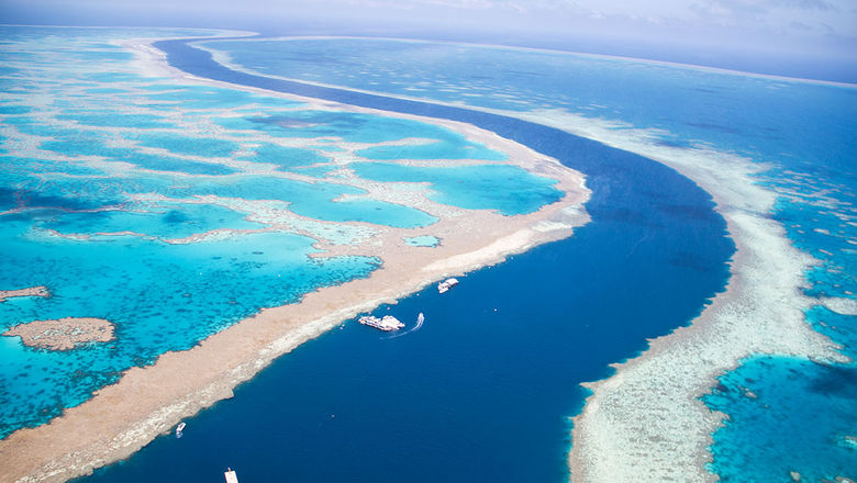 More than half a billion dollars have been committed to protect the 2,300-km Great Barrier Reef.