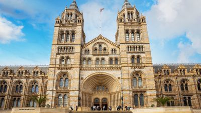 The Natural History Museum offers quiet spaces, sensory maps, trained staff, and autism-friendly events, ensuring an inclusive and supportive experience for neurodivergent visitors.