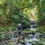 Vietnam wants travellers to go down to the woods today