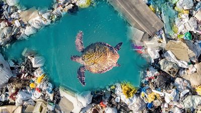 In Bali, tourism is causing waste management issues, with only 48% properly handled. Over 33,000 tonnes of plastic annually pollutes ecosystems, straining infrastructure.