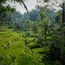 Bali makes a comeback with a green travel campaign