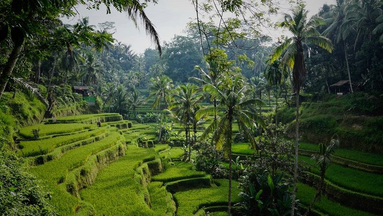Bali's tourism stakeholders have teamed up for "KemBALIK Becik," a collaborative campaign championing green tourism initiatives on the island.