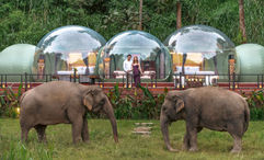 Properties such as Anantara Golden Triangle Elephant Camp and Resort are being recognised and promoted by GHA for their sustainability efforts.