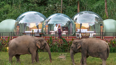 Properties such as Anantara Golden Triangle Elephant Camp and Resort are being recognised and promoted by GHA for their sustainability efforts.