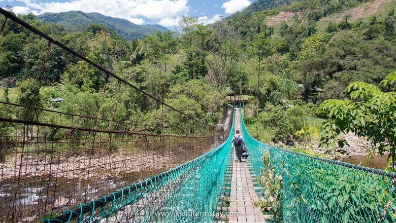 Malaysia Wildlife Adventure  - Supporting Sustainable Tourism Initiatives