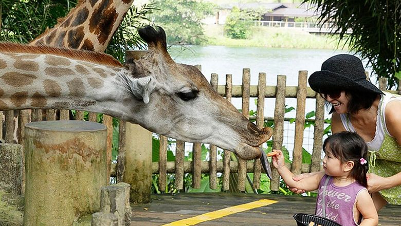 Family fun meets wellness and sustainability at the zoo: Travel Weekly Asia Family fun meets wellness and sustainability at the zoo: Travel Weekly Asia