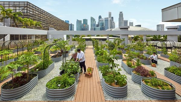 Conserve to serve: Fun and immersive activities in a green hotel