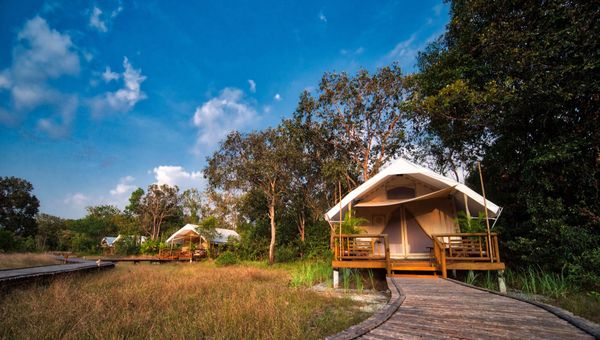 A portion of traveller spending at Cardamom Tented Camp aids in preserving 18,000 hectares of lowland rainforest.