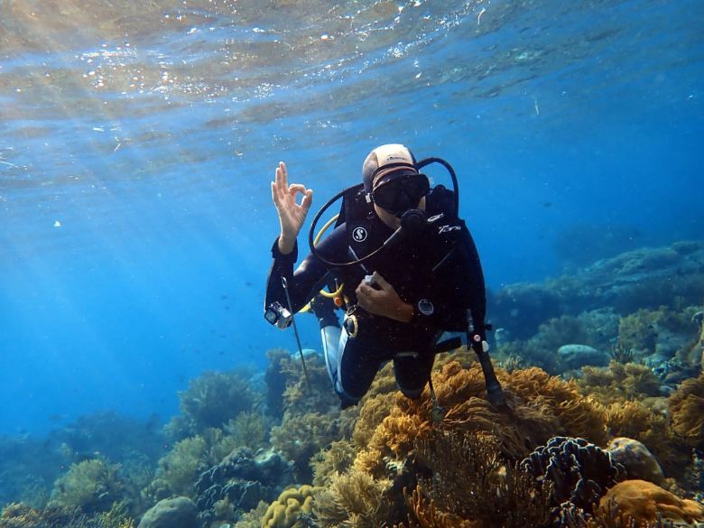 Industry players believe that dive tourism could be a great way to attract high-spending, longer-staying travellers to more remote regions of the Indonesian archipelago.