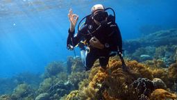 Industry players believe that dive tourism could be a great way to attract high-spending, longer-staying travellers to more remote regions of the Indonesian archipelago.