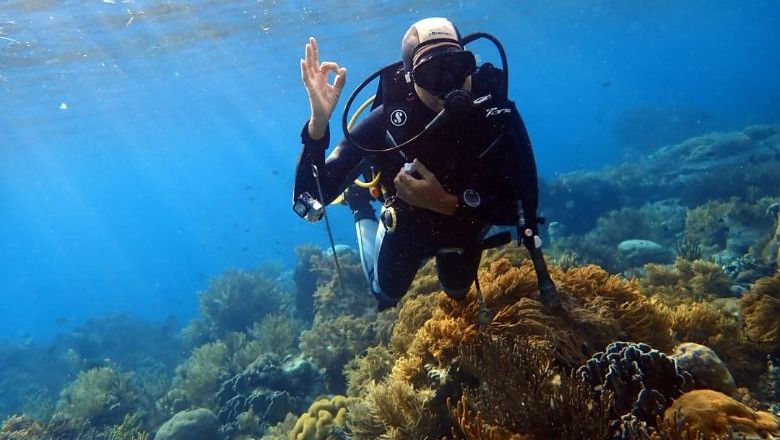 Industry players believe that dive tourism could be a great way to attract high-spending, longer-staying travellers to more remote regions of the Indonesian archipelago.