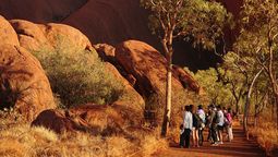 The Covid pandemic has resulted  a lack of skilled workers in Australia, especially for multilingual guides.