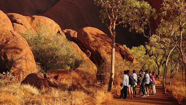 The Covid pandemic has resulted  a lack of skilled workers in Australia, especially for multilingual guides.
