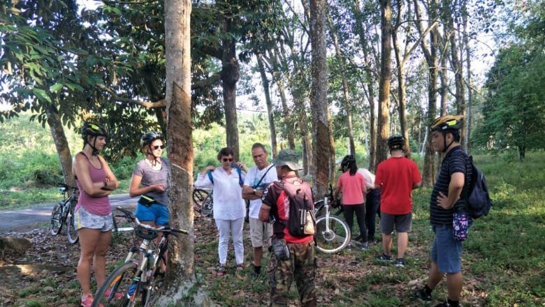 A Buddyz host takes guests to pedal through rubber trees and paddy fields in the outskirts of Melaka, overthrowing perceptions that the historic town is just a foodie and cultural destination.
