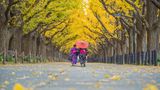 Destinations in Asia are stepping up to join the world’s most walkable cities. Tokyo leaps 16 positions to 20th place this year.