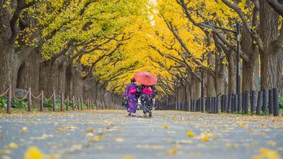 Destinations in Asia are stepping up to join the world’s most walkable cities. Tokyo leaps 16 positions to 20th place this year.