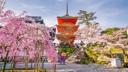 Over 2,000 tours across 80 countries that respond to visitors saying “Not where, but why are we travelling?”