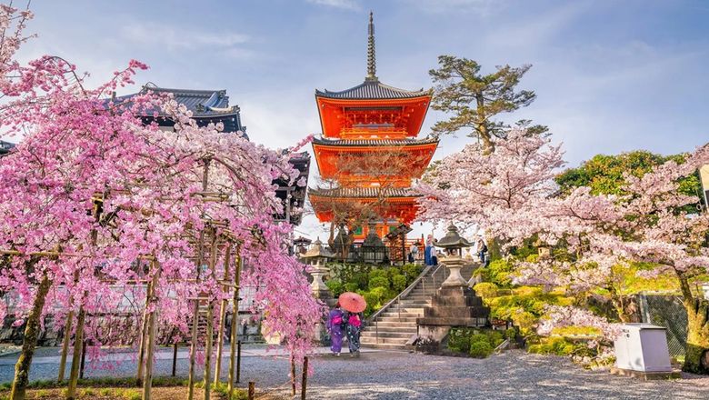 Over 2,000 tours across 80 countries that respond to visitors saying “Not where, but why are we travelling?”