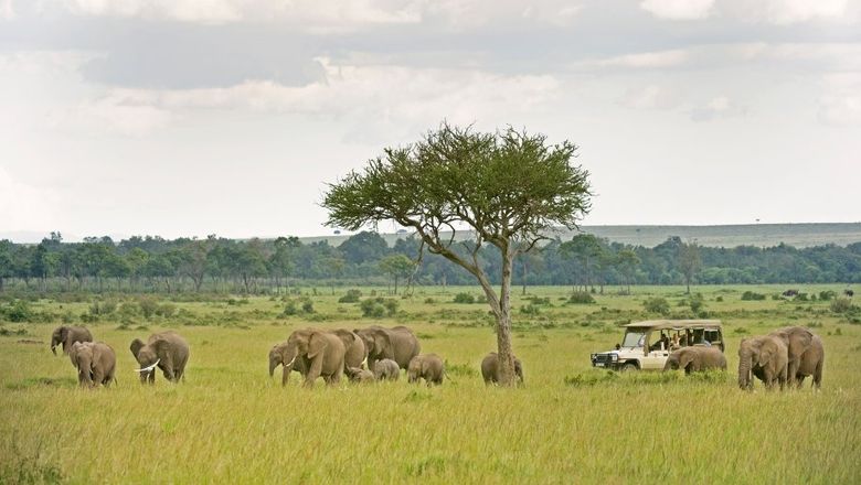 A&K on safari in Kenya