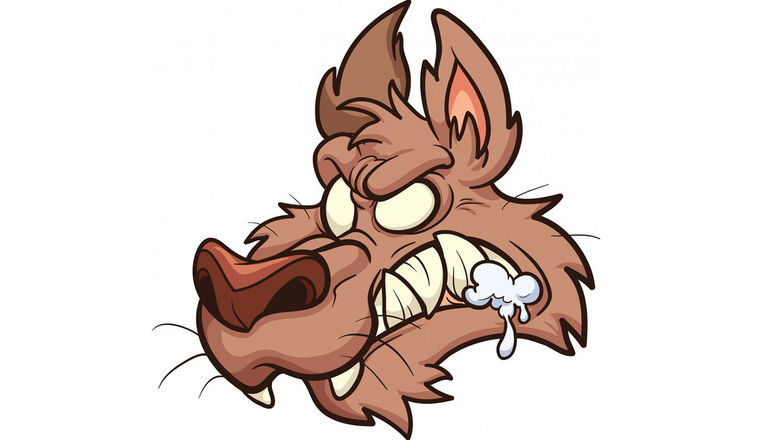 Rabies still a big concern in Bali