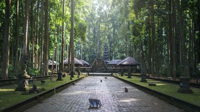 Look, don’t touch, warning for tourists visiting Sangeh Monkey Forest in Bali.