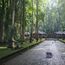 Bali tourists told: Stop monkeying around
