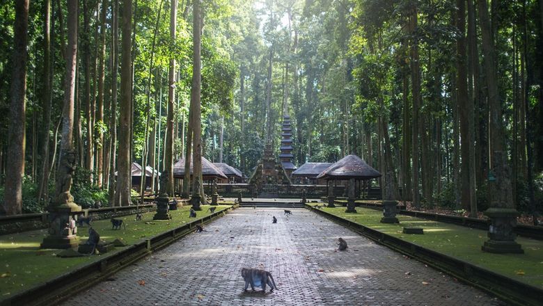 Look, don’t touch, warning for tourists visiting Sangeh Monkey Forest in Bali.