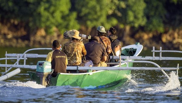Tours are deliberately intimate to accommodate compact bird hides while minimising disturbance to wildlife.