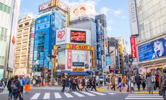 Social media fraudsters who receive payment for Japan tours without fulfilling are difficult to clamp down on, as they can easily start a new page after being shut down, authorities say.
