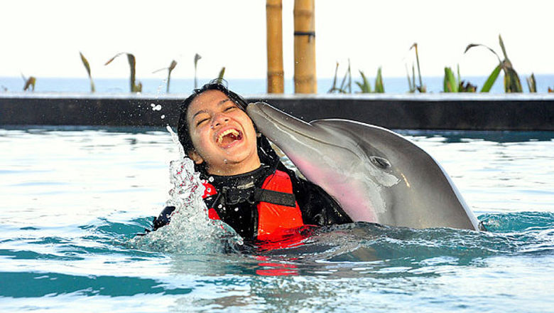 Bali dolphin show under scrutiny