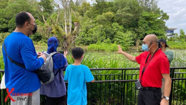Besides aviation history, guests also get to explore the Hampstead wetlands park, home to several migratory bird species. Besides aviation history, guests also get to explore the Hampstead wetlands park, home to several migratory bird species.