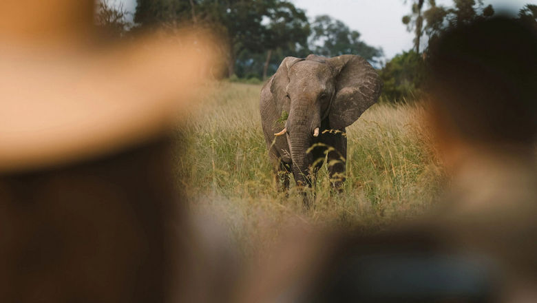 Each A&K guest and guide will be equipped with Leica binoculars, allowing for close-up encounters.