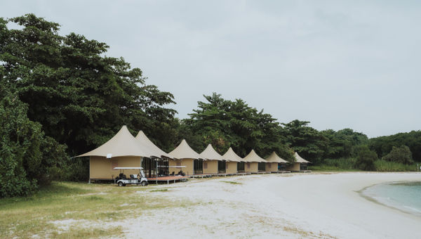 拉撒路岛上的树林提供九个豪华的豪华帐篷 - 六个夫妇，三个为家庭提供 - 带有空调内饰，小厨房和海滨风景