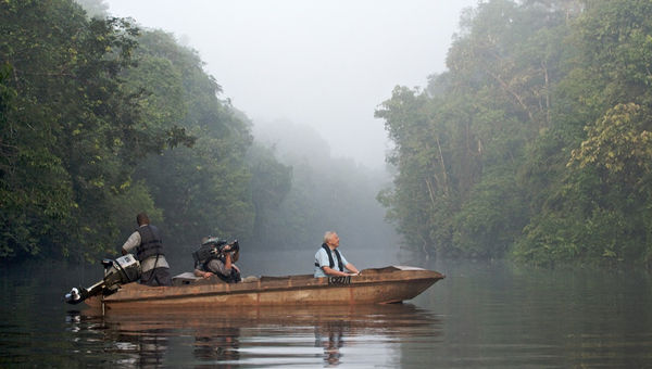 Sukau Rainforest Lodge甚至接待了戴维·阿滕伯勒（David Attenborough）等著名人物，他在拍摄婆罗洲丰富的生物多样性时呆在那里。