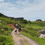 How travellers can celebrate St Patrick’s Day in Ireland
