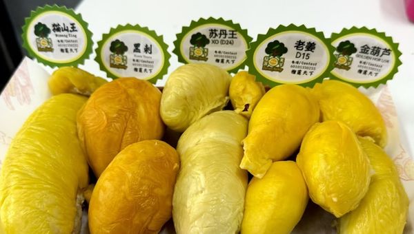 Penang benefits from producing several rare varieties unavailable elsewhere in Malaysia. Penang benefits from producing several rare varieties unavailable elsewhere in Malaysia.